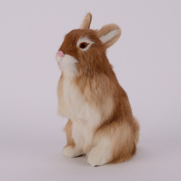 Kawaii squatting rabbits     峭  Ȩ    䳢   